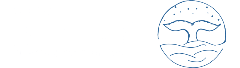 Webdesign by Bereishit - Im Anfang steckt ein Geheimnis